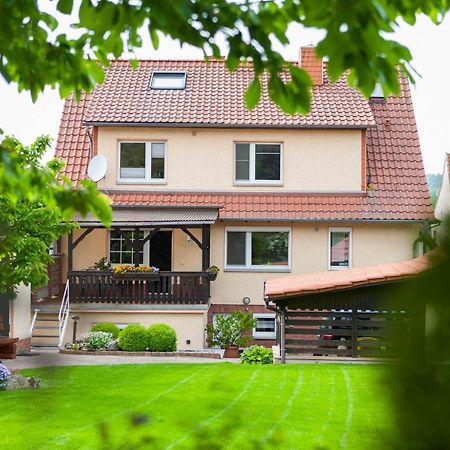 Ferienhaus Og1 "Westerwald Blick" Martinfeld Esterno foto